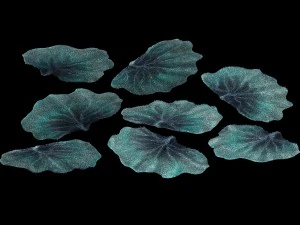seabed - coral 76 3D Model