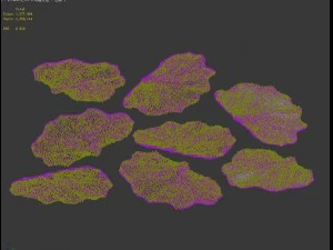 seabed - coral 76 3D Model
