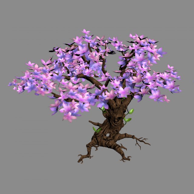 acacia - tree 01 3D Model .c4d .max .obj .3ds .fbx .stl .blend 