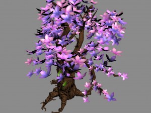 acacia - tree 01 3D Model