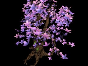 acacia - tree 01 3D Model