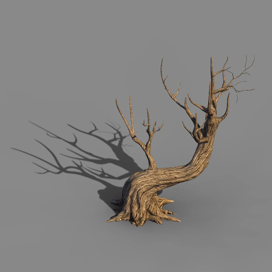acacia - trunks 01 3D Model .c4d .max .obj .3ds .fbx .stl .blend 