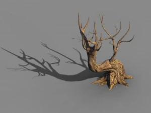 acacia - trunks 01 3D Model