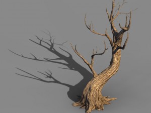 acacia - trunks 01 Modello 3D
