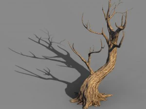 acacia - trunks 01 3D Model