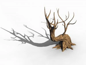 acacia - trunks 01 3D Model