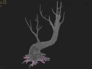 acacia - trunks 01 3D Model
