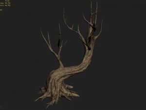 acacia - trunks 01 3D Model