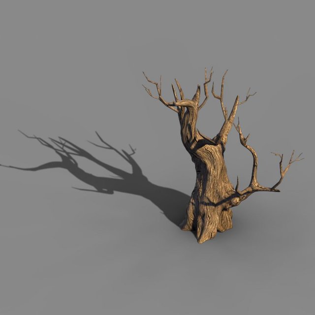 acacia - trunk 02 Modèle 3D .c4d .max .obj .3ds .fbx .stl .blend 