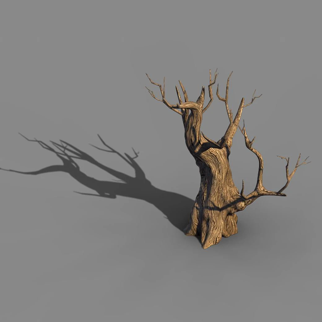 acacia - trunk 02 3D Model .c4d .max .obj .3ds .fbx .stl .blend 