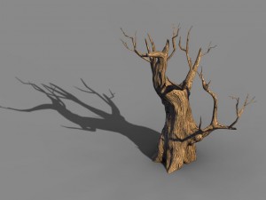 acacia - trunk 02 Model 3D