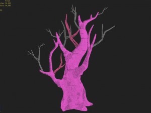 acacia - trunk 02 Modèle 3D