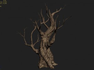 acacia - trunk 02 Modèle 3D