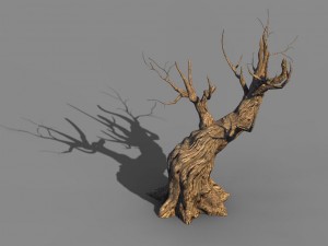 acacia - trunks 03 3D Model