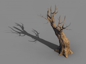 acacia - trunks 03 3D Model