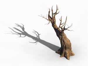 acacia - trunks 03 3D Model