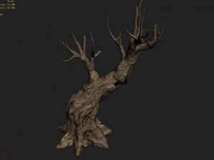 acacia - trunks 03 3D Model