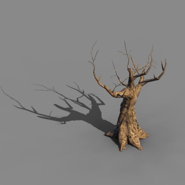 acacia - trunks 04 3D 模型 .c4d .max .obj .3ds .fbx .stl .blend 