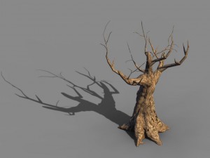 acacia - trunks 04 3D Model