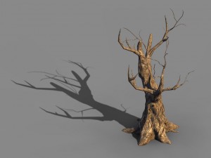 acacia - trunks 04 3D 模型