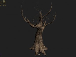 acacia - trunks 04 3D 模型
