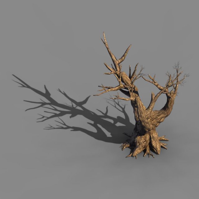 acacia - trunk 05 3D मॉडल .c4d .max .obj .3ds .fbx .stl .blend 