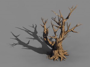 acacia - trunk 05 3D मॉडल