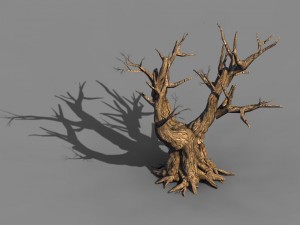 acacia - trunk 05 3D मॉडल