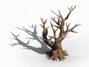 acacia - trunk 05 3D मॉडल