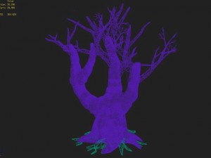 acacia - trunk 05 3D मॉडल