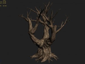 acacia - trunk 05 3D मॉडल