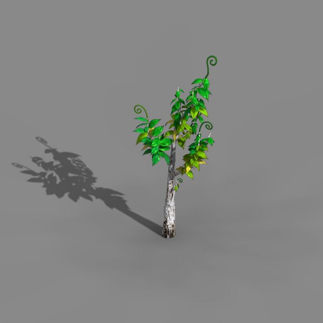 acacia - trees 01 3D Model .c4d .max .obj .3ds .fbx .stl .blend 