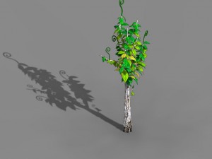 acacia - trees 01 3D Model