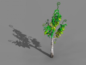 acacia - trees 01 3D Model