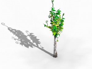acacia - trees 01 3D Model