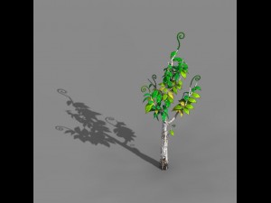 acacia - trees 02 Modèle 3D