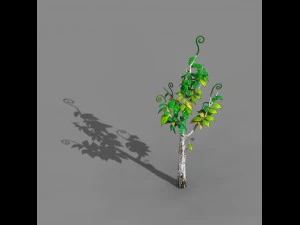 acacia - trees 02 3D Model