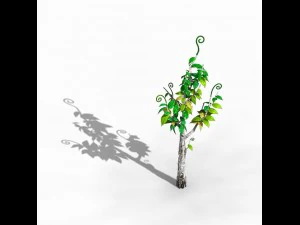 acacia - trees 02 3D Model