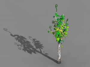 acacia - trees 02 3D Model