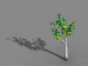 acacia - trees 02 3D Model
