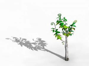acacia - trees 02 3D Model