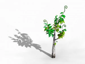 acacia - trees 02 3D Model