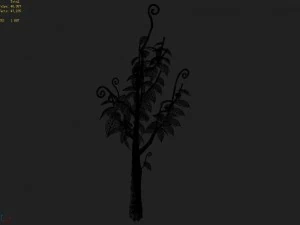 acacia - trees 02 3D Model