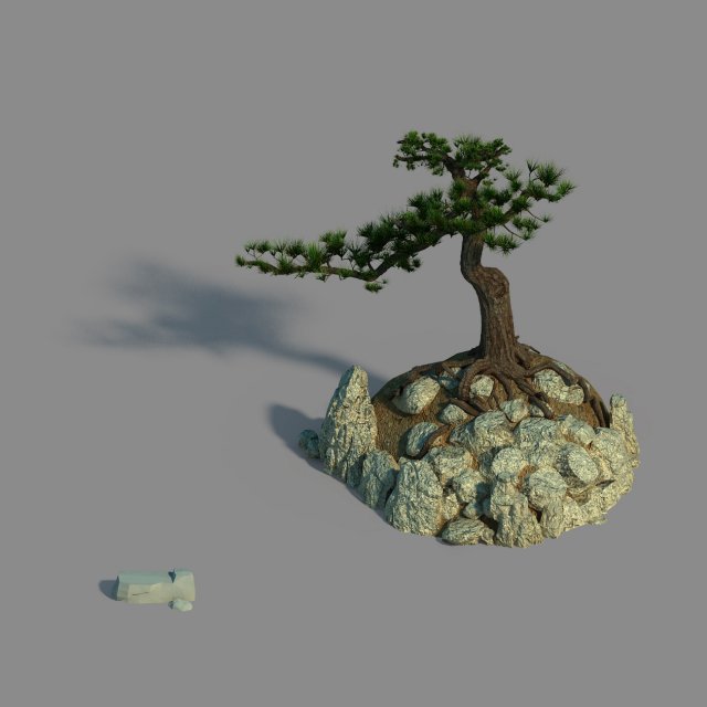 acacia - pine 02 Model 3D .c4d .max .obj .3ds .fbx .stl .blend 