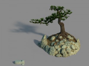 acacia - pine 02 Model 3D