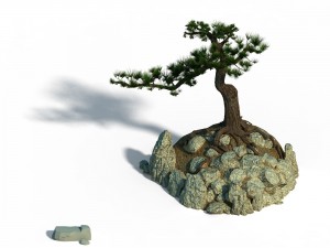 acacia - pine 02 Model 3D