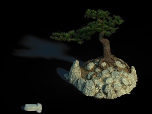acacia - pine 02 Model 3D