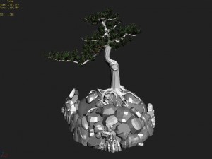 acacia - pine 02 Model 3D