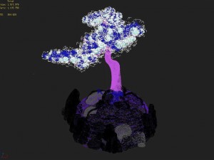 acacia - pine 02 Model 3D
