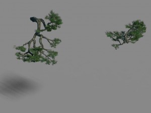 acacia - pine - foliage 01 3D Модель